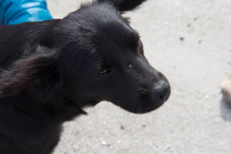 Chile - Isla Damas 1 for Web (7 of 17)