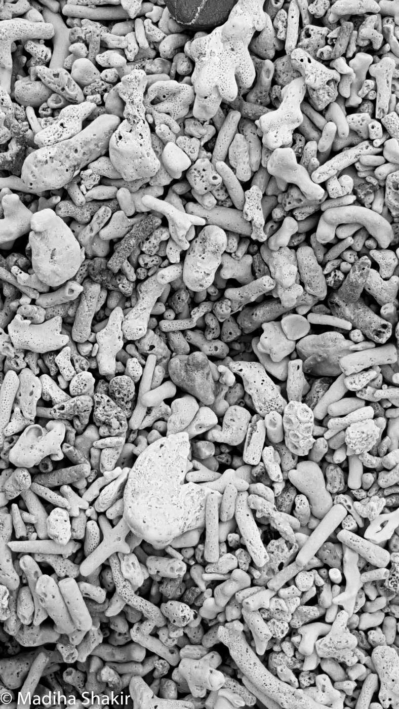 japan-okinawa-5-of-28